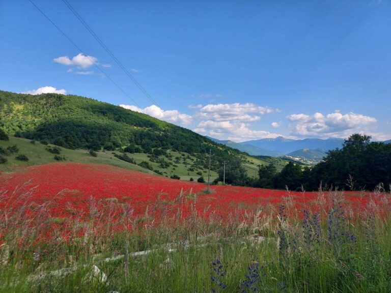 Appartamento a Monteleone di Spoleto — € 62.000