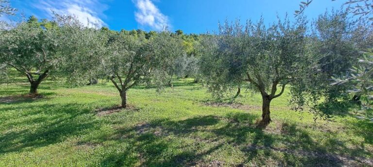 Terreno agricolo a Spoleto — € 16.000
