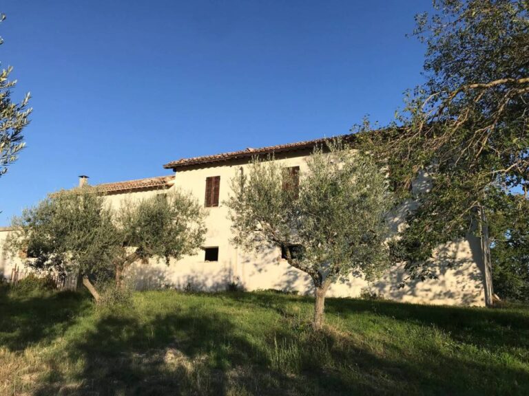 Casale + 15 Ettari di Terreno