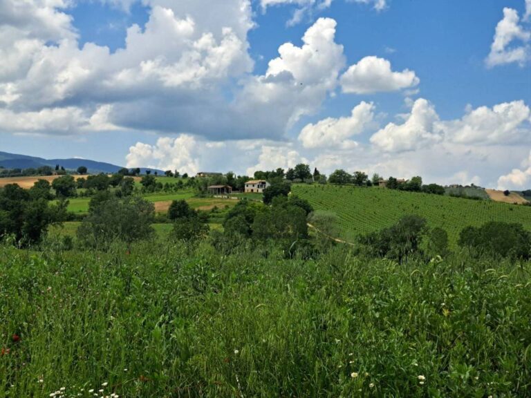 Rustico a Montefalco — € 250.000